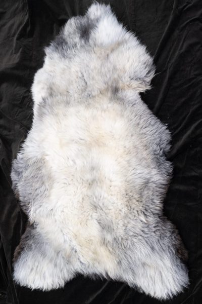 Schapenvacht wit gemeleerd, sheepskin white mixed, Schafsfell weiss gemischt model 5 Texelse Schapenboet