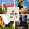 Schapenwol voor je voeten wandelwol Texelse Schapenboet