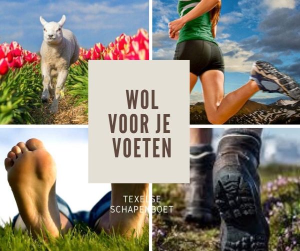 Schapenwol voor je voeten wandelwol Texelse Schapenboet